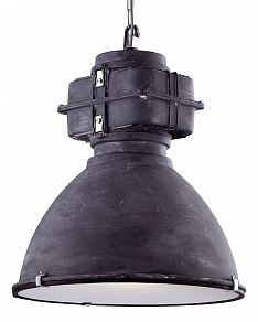 Подвесной светильник Arte Lamp Loft A5014SP-1BG