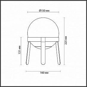 Настольная лампа декоративная Lumion Chipo 3649/1T