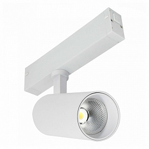 Светильник на штанге ST-Luce SKYLINE 220 ST660.536.10H