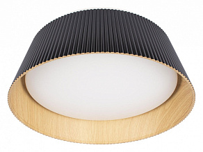 Накладной светильник Loft it Evans 10224 Black