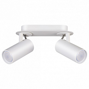 Спот Odeon Light Corse 3873/2C