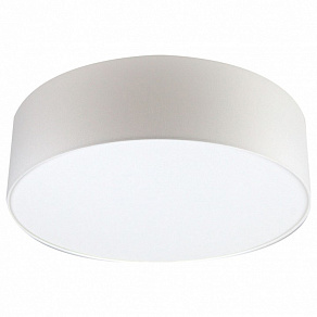 Накладной светильник Lighthall Camerona 65 LH022005