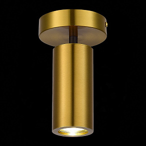 Светильник на штанге ST-Luce Talia SL1215.402.01