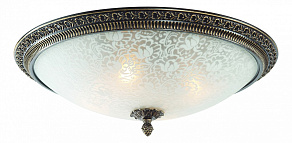 Накладной светильник ST-Luce Fascino SL135.402.04