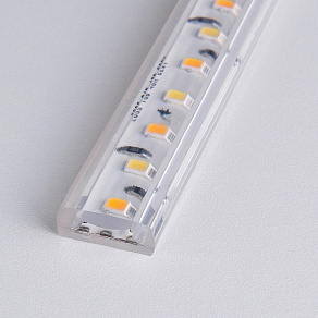 Лента светодиодная Elektrostandard LS013 a041343