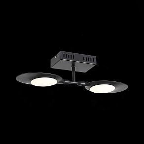 Светильник на штанге ST-Luce Farfalla SL824.401.02