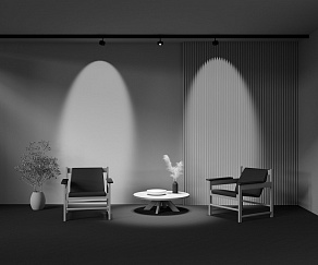 Светильник на штанге Maytoni Lens TR217-4-15WTW-DS-B