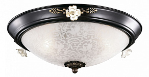 Накладной светильник Odeon Light Bone 2693/3C