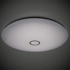 Накладной светильник Citilux Старлайт Смарт CL703A203G