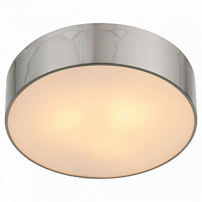 Накладной светильник ST-Luce Bagno SL468.502.03