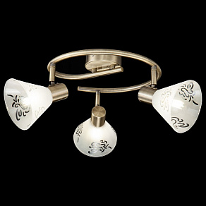 Спот Freya Paola FR7001CL-03BZ