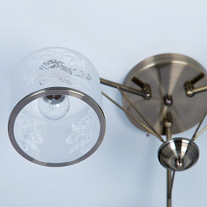 Потолочная люстра Citilux Тулон CL172133