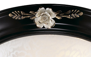 Накладной светильник Odeon Light Bone 2693/2C