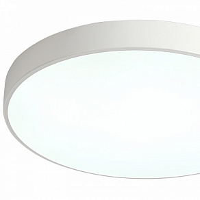 Накладной светильник Zortes Tortty ZRS.02564.96