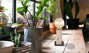 Настольная лампа декоративная Globo Adalie 15455T