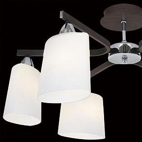 Люстра на штанге Citilux Астра CL138161