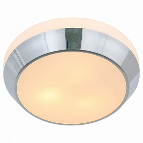 Накладной светильник ST-Luce Bagno SL469.502.03