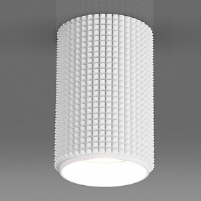 Накладной светильник Elektrostandard Spike DLN112 GU10