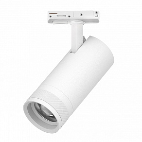 Светильник на штанге Lightstar Canno Pro C4206SS