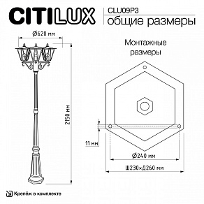 Фонарный столб Citilux FORTS CLU09P3