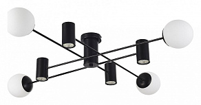 Потолочная люстра EVOLUCE Raito SLE1105-402-08
