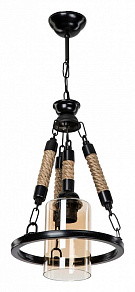 Подвесной светильник TopLight Alanna TL1645H-01BK