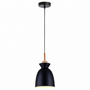 Подвесной светильник TopLight Marylou TL1202H-01BK