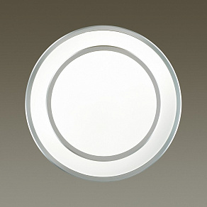Накладной светильник Odeon Light Selena 4627/48CL