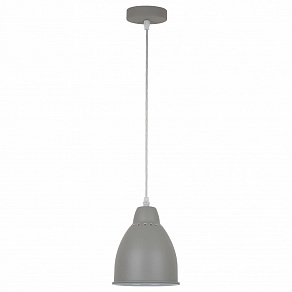 Подвесной светильник Arte Lamp Braccio A2054SP-1GY