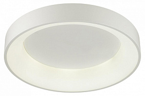 Накладной светильник Odeon Light Sole 4066/40CL