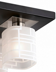 Накладной светильник Odeon Light Campus 2615/4C