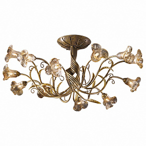 Потолочная люстра Odeon Light Aura 1814/12