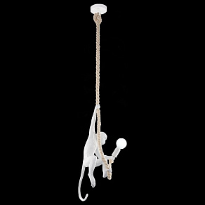 Подвесной светильник EVOLUCE TENATO SLE115103-01