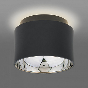 Накладной светильник Elektrostandard Charlie 1069 GX53