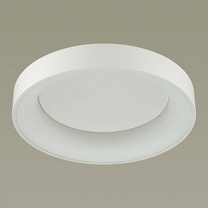 Накладной светильник Odeon Light Sole 4062/40CL