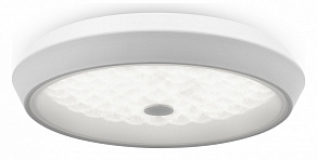 Накладной светильник Freya Cells FR10012CL-L24W