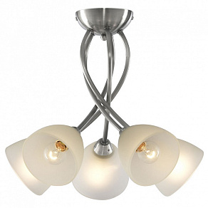 Потолочная люстра Arte Lamp Nikki A2576PL-5SS