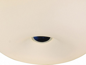 Накладной светильник ST-Luce Sfera SL297.502.03