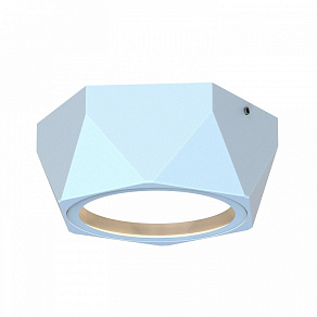 Накладной светильник Favourite Fantum 4669-1U