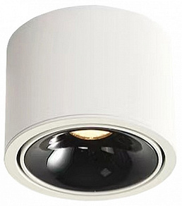 Накладной светильник Wertmark WTA.O06 WTA.O06.067.40.12