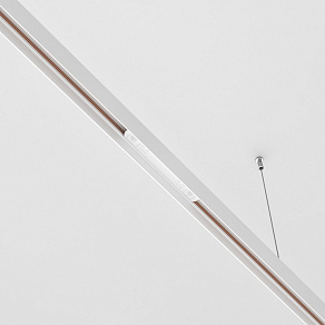 Соединитель линейный для треков Maytoni Accessories for Exility TRA034PC-42W