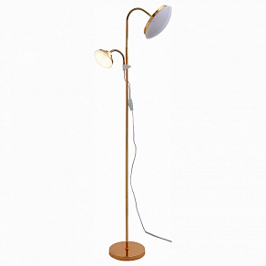 Торшер с подсветкой ST-Luce Pratico SLE120.205.02