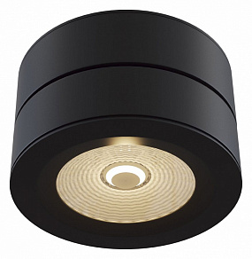 Спот Maytoni Treviso C023CL-L20B4K