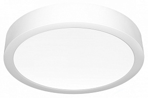 Накладной светильник Citilux Галс CL5516N