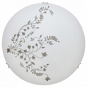 Накладной светильник Arte Lamp Symphony A3820PL-2CC