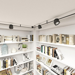 Накладной светильник Denkirs BELTY SPOT DK5541-BK