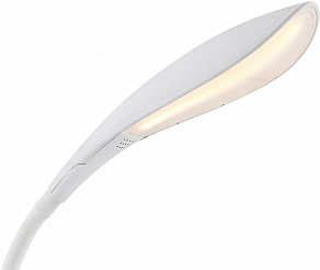 Настольная лампа офисная Globo Shannon 58242