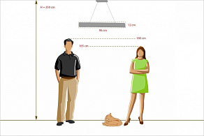 Подвесной светильник Chiaro Гослар 5 498012901