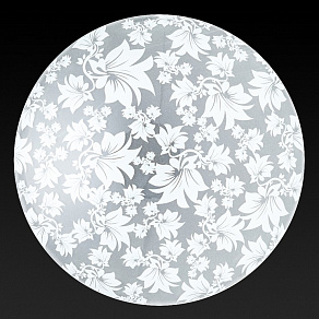 Накладной светильник TopLight Primrose TL9061Y-02WH