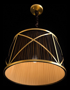 Подвесной светильник Arte Lamp Vitruvio A2805SP-1BK